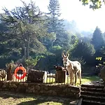 Quinta Do Castanheiro 3*