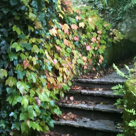 Quinta Do Castanheiro Pensión