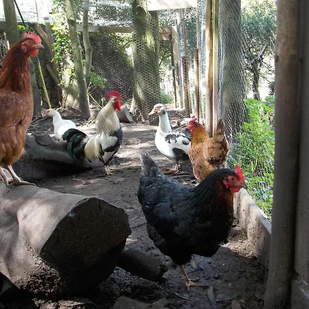 Pensión Quinta Do Castanheiro 3*