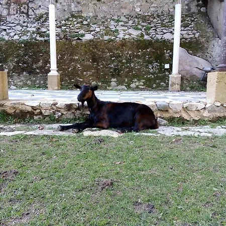 Pensión Quinta Do Castanheiro