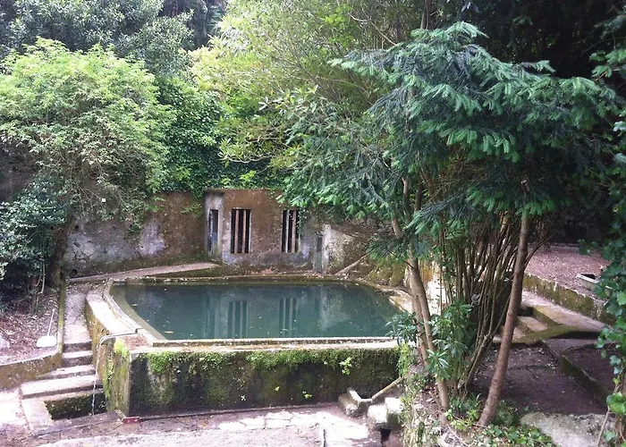 ゲストハウス Quinta Do Castanheiro