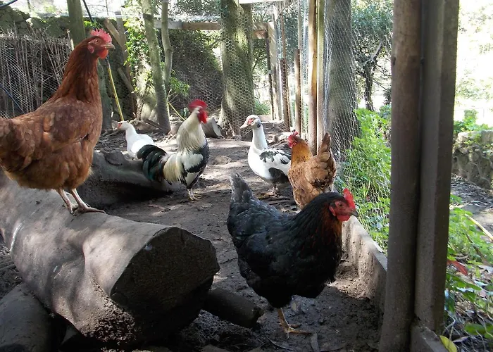 Pensjonat Quinta Do Castanheiro 3*